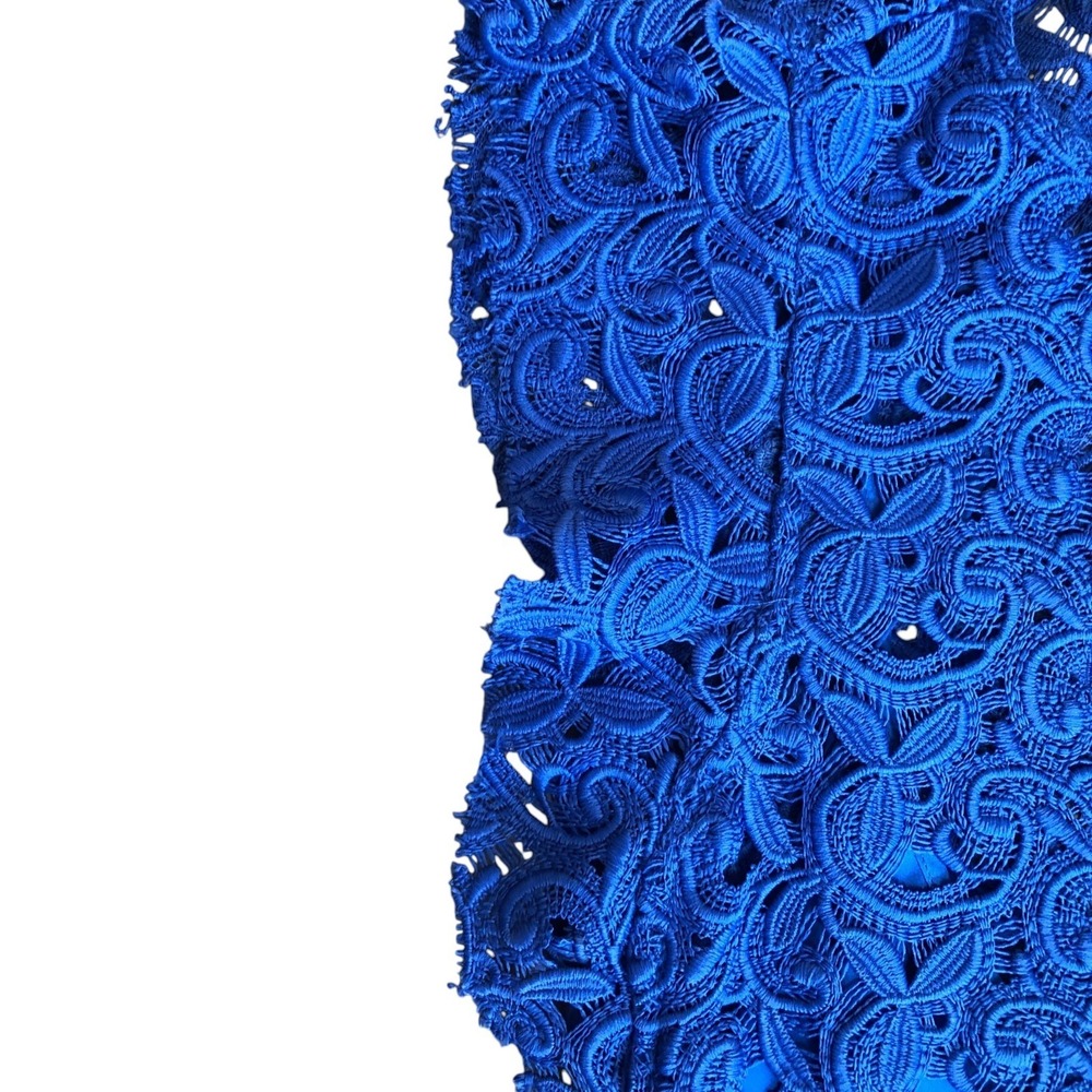 Zara Cobalt Lace Sheath Dress - Picture 7 of 15
